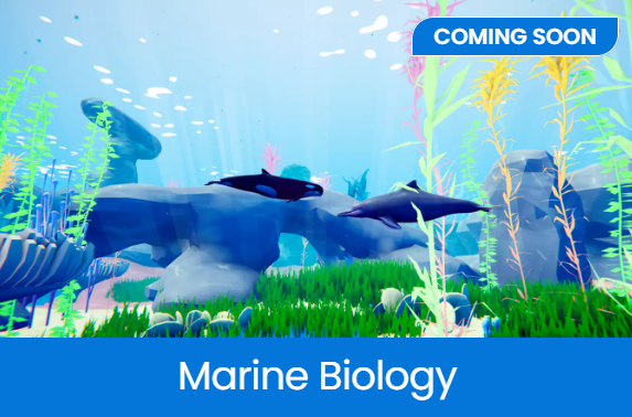 Marine Biology VR
